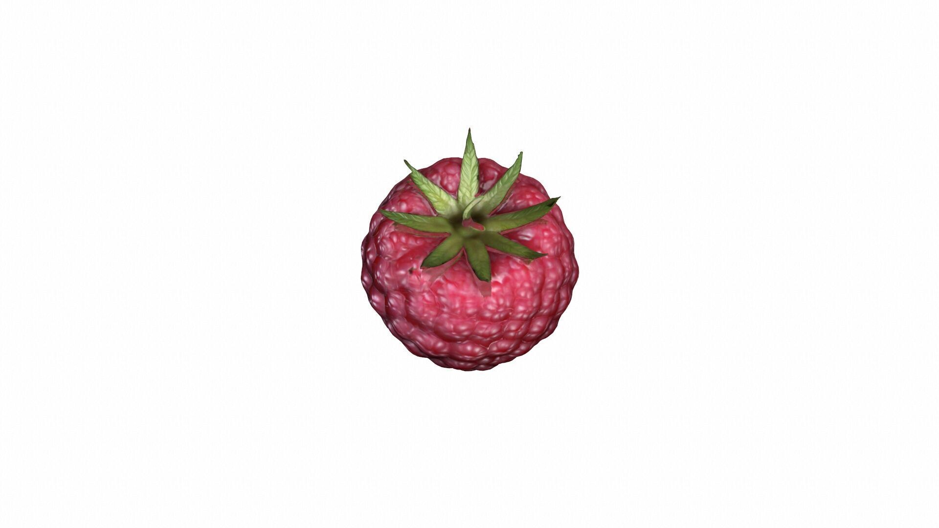 Collection Of Fresh Red Raspberries 3d Render 3D model_4