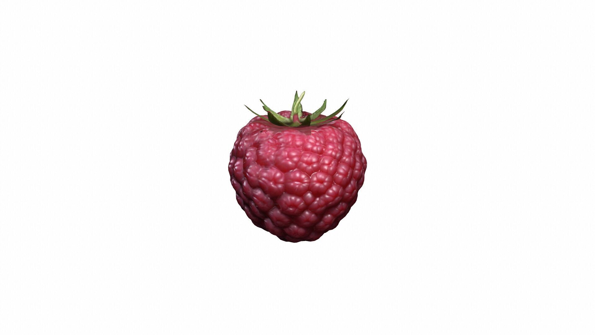 Collection Of Fresh Red Raspberries 3d Render 3D model_2