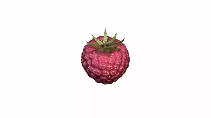 Collection Of Fresh Red Raspberries 3d Render