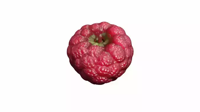 Collection Of Fresh Red Raspberries 3d Render