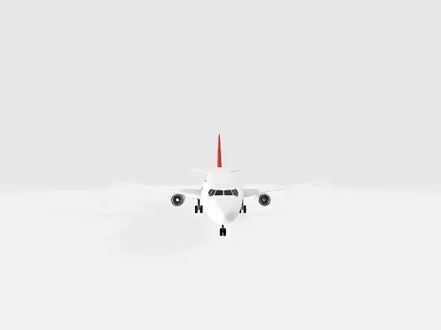 Boeing 737 Turkish Airlines Low-poly 3D model