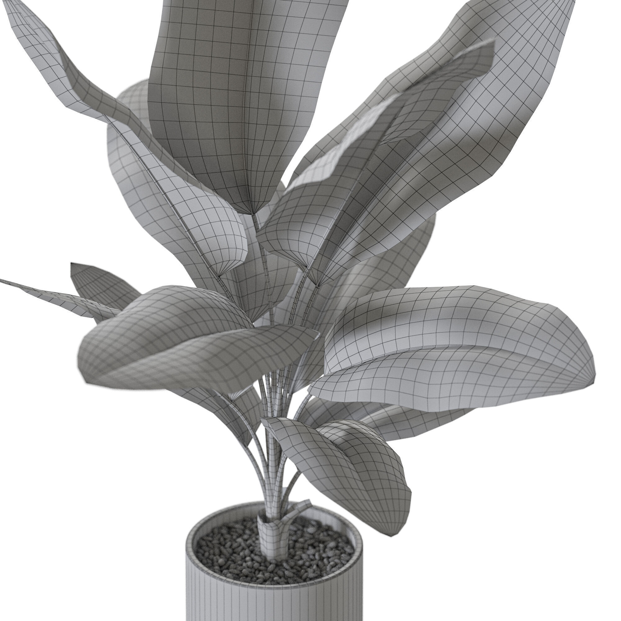 Plant 1229 3D model_5