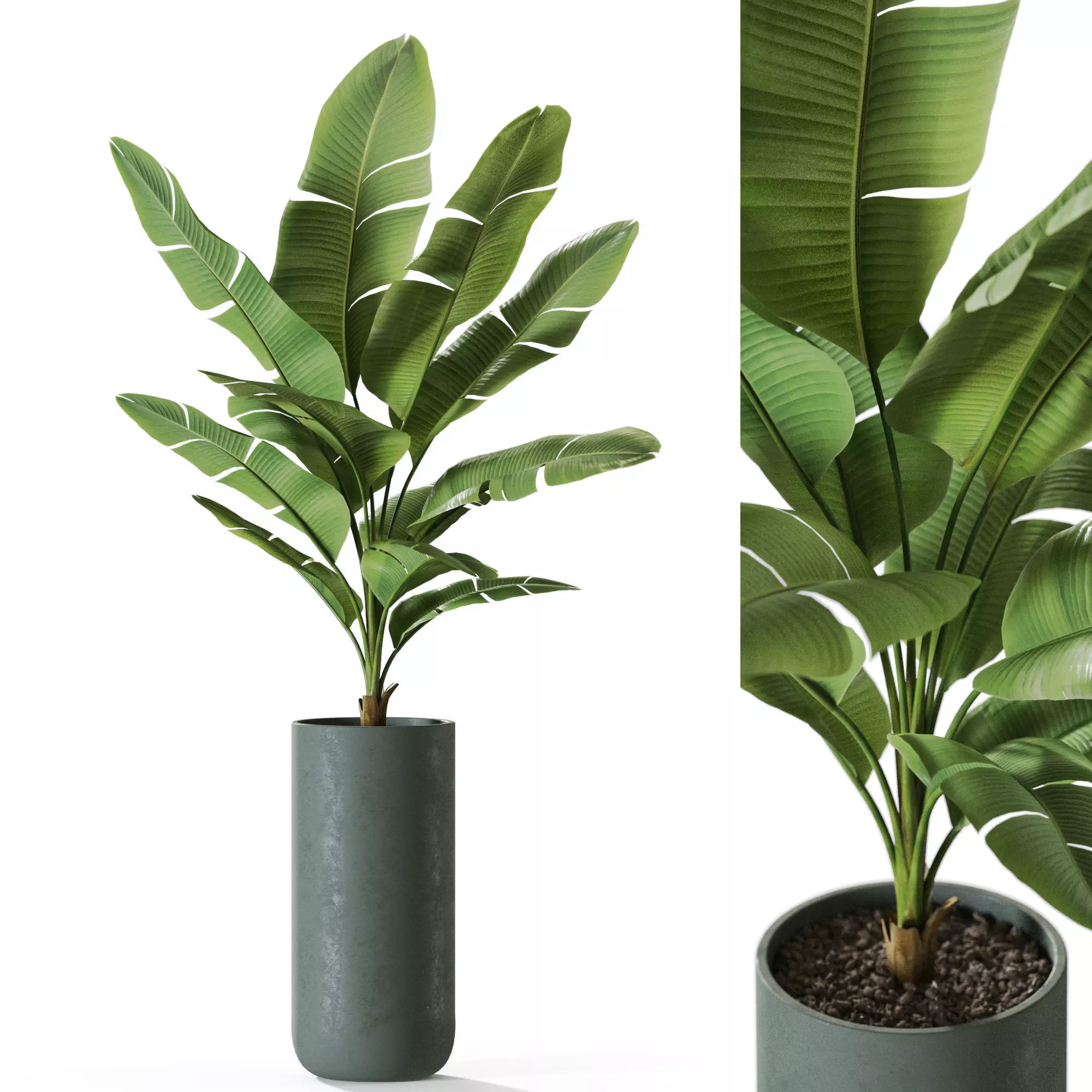 Plant 1229 3D model_0