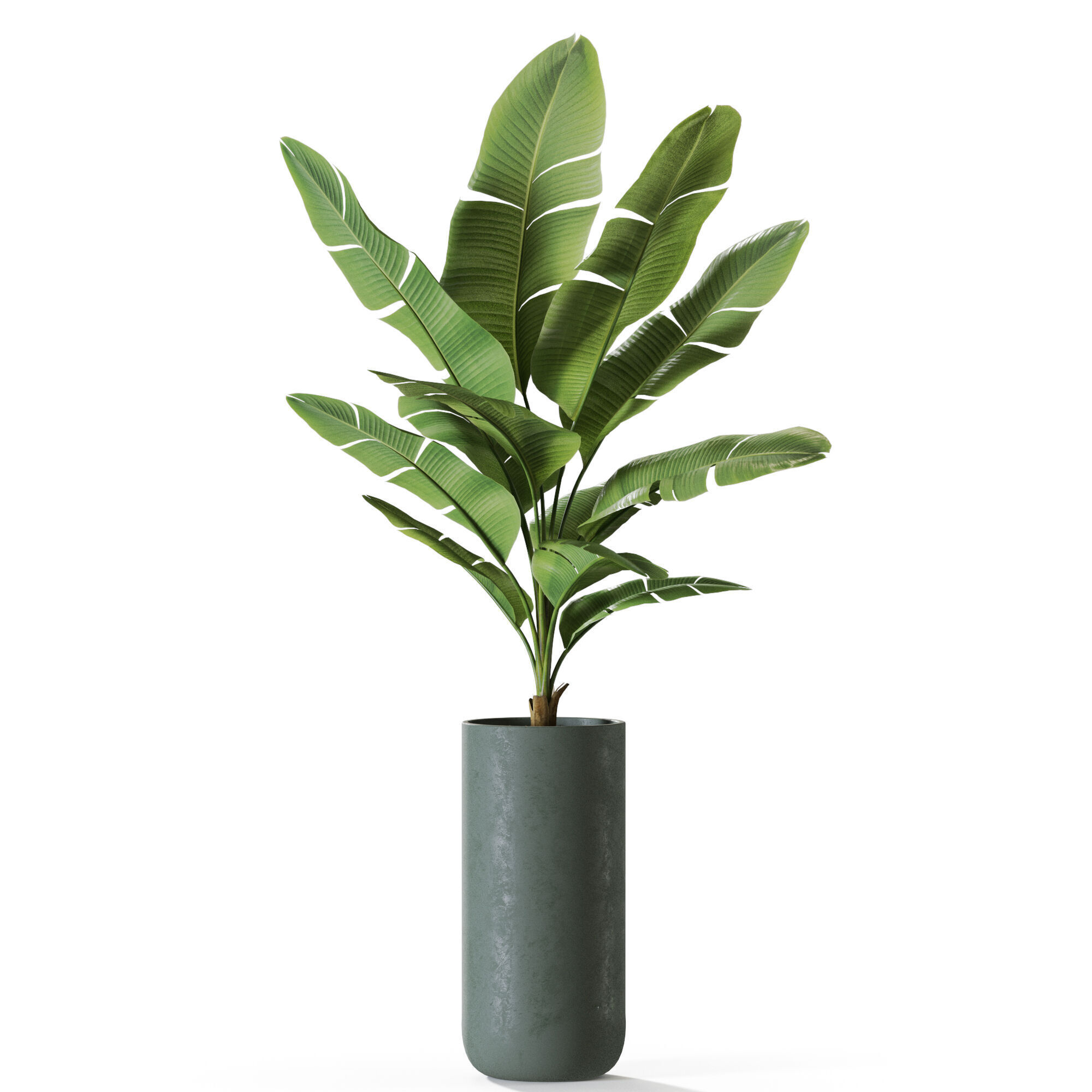 Plant 1229 3D model_1