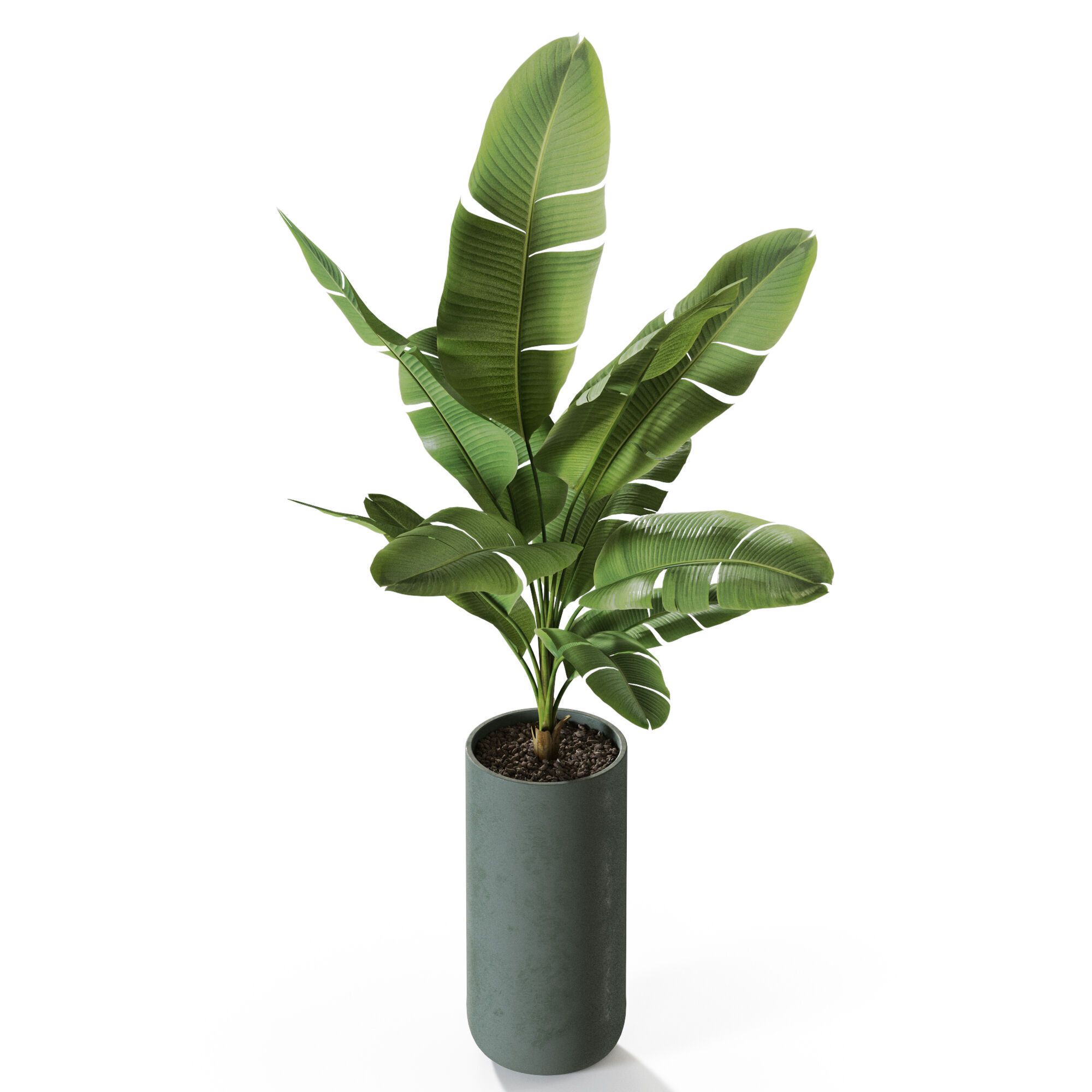 Plant 1229 3D model_3