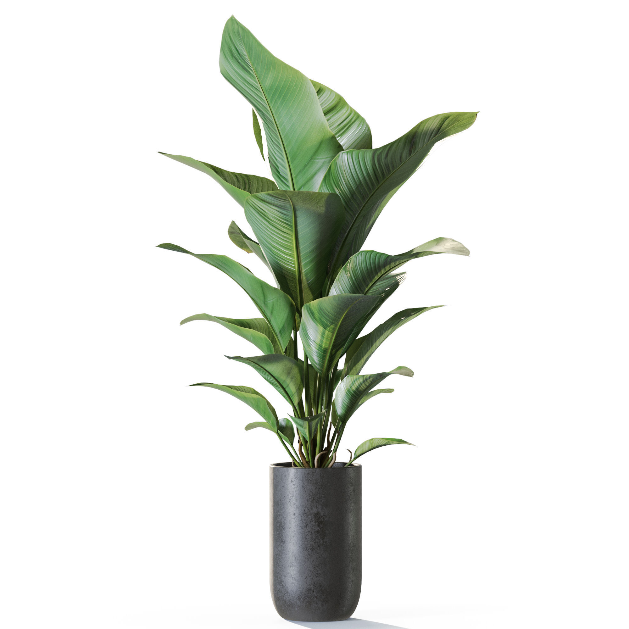 Plant 1230 3D model_1