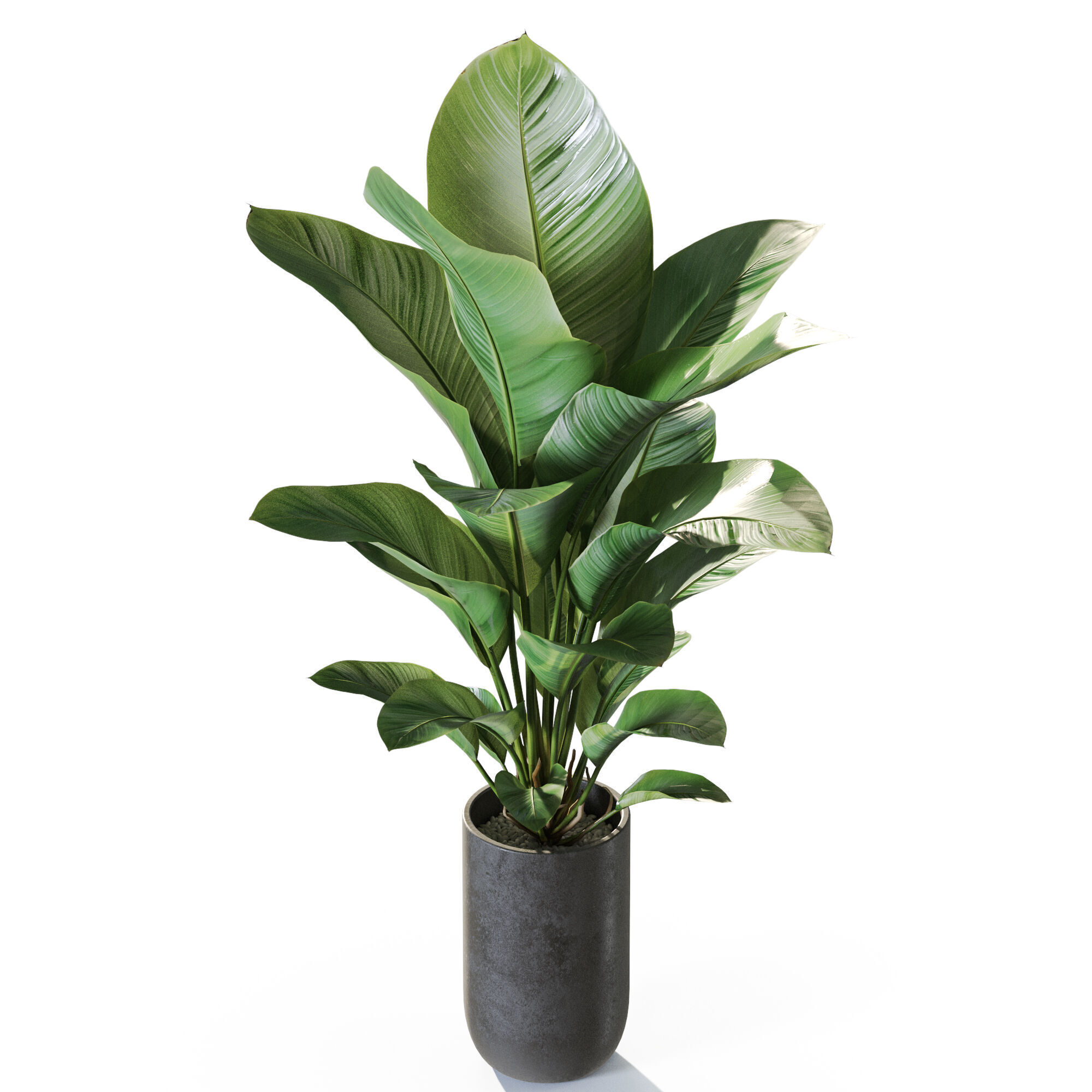 Plant 1230 3D model_3