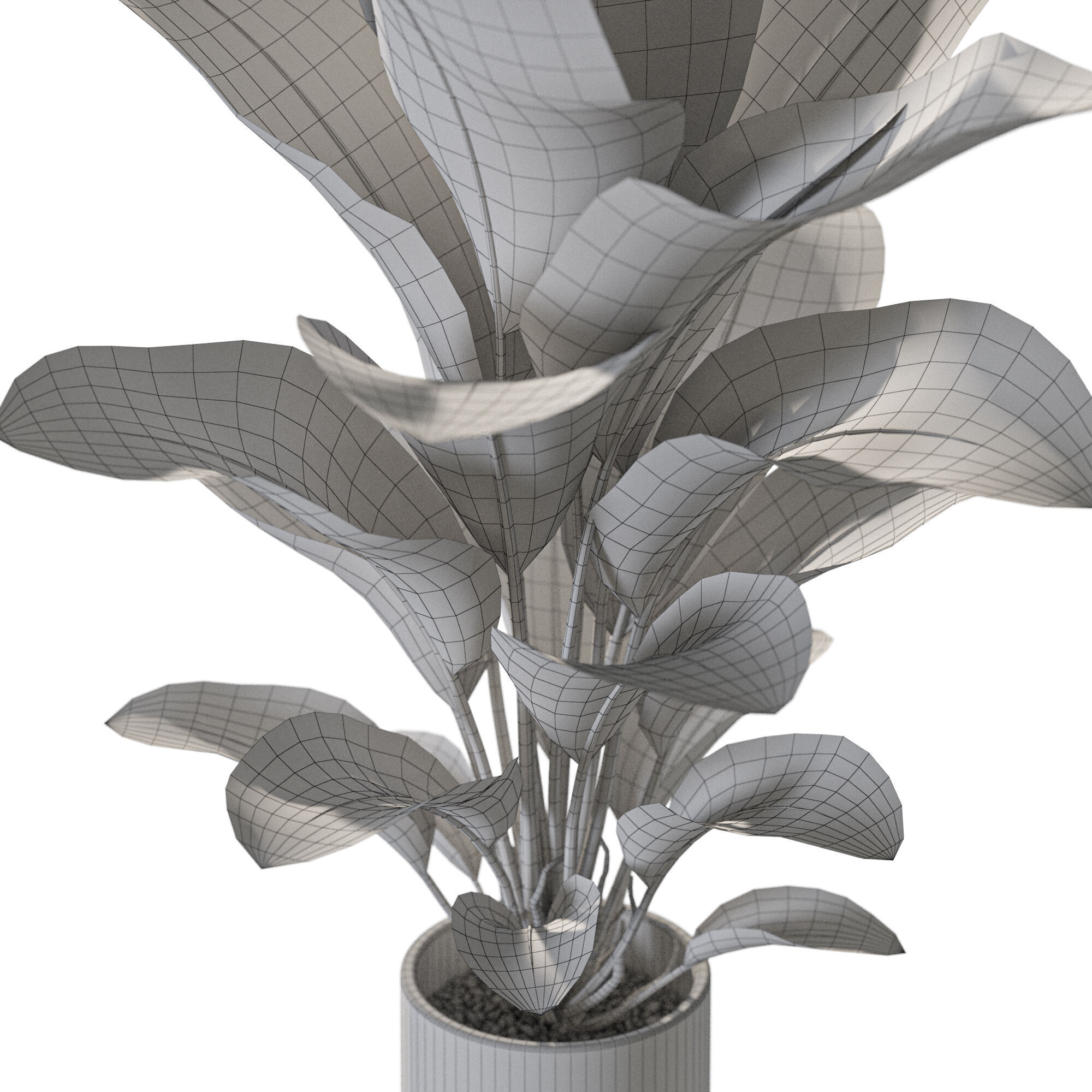 Plant 1230 3D model_5