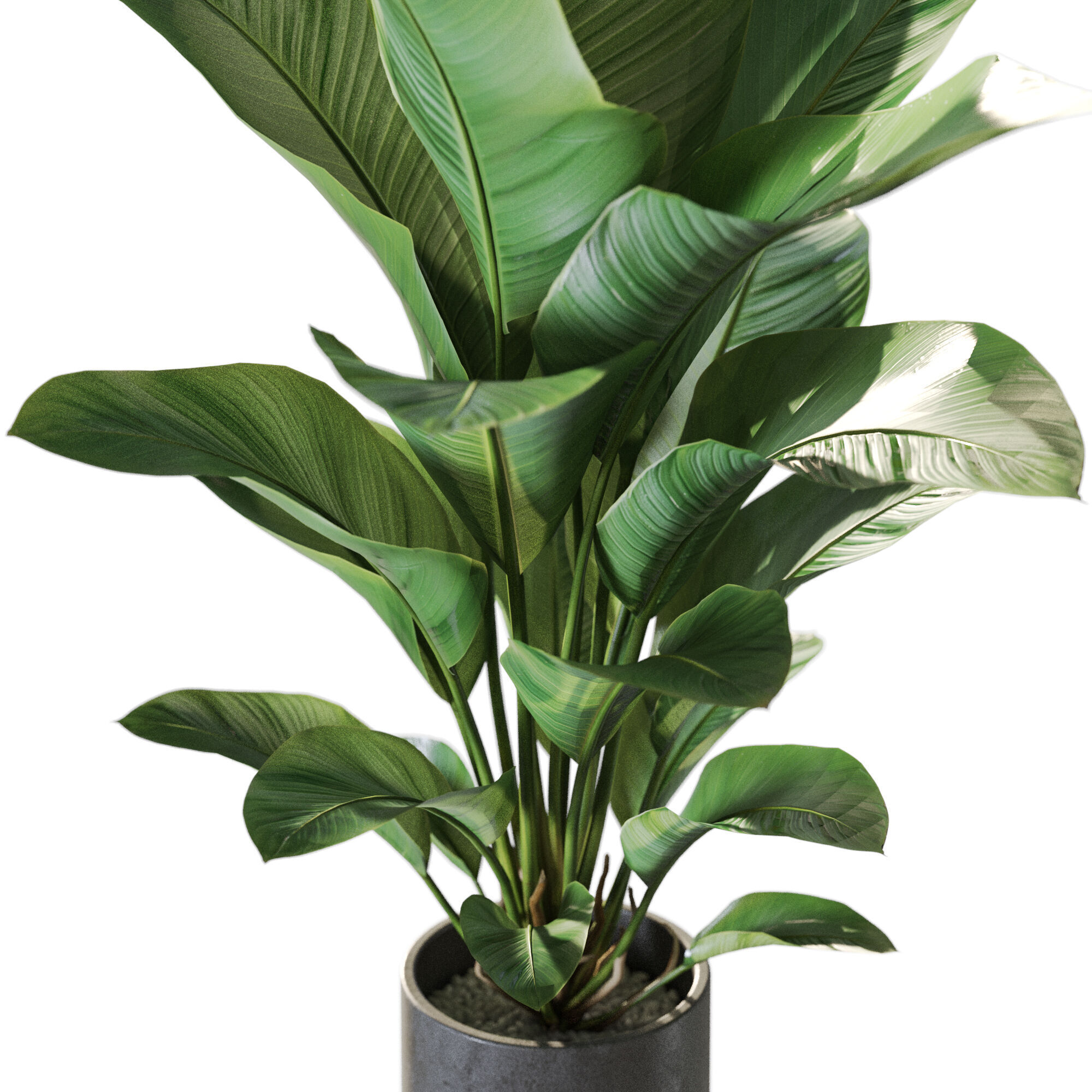 Plant 1230 3D model_2