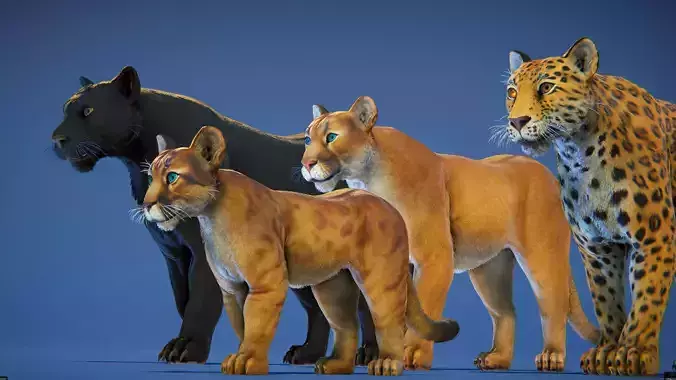 Cougar  - Panther - Jaguar - Leopard - Mountain Lion Low-poly 3D model