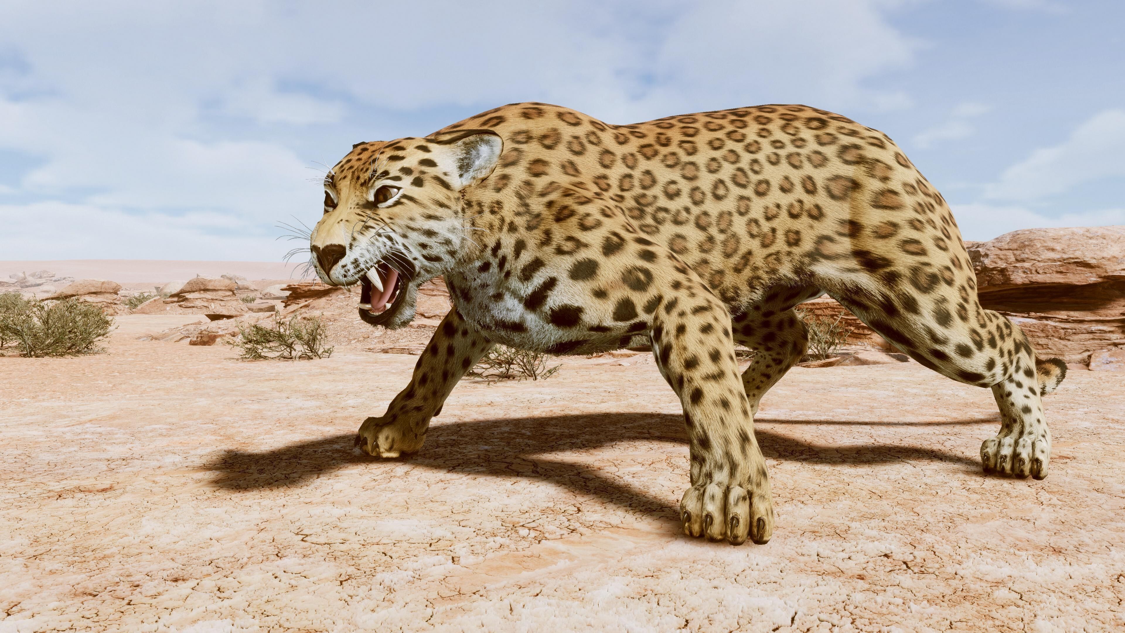 Cougar  - Panther - Jaguar - Leopard - Mountain Lion Low-poly 3D model_20