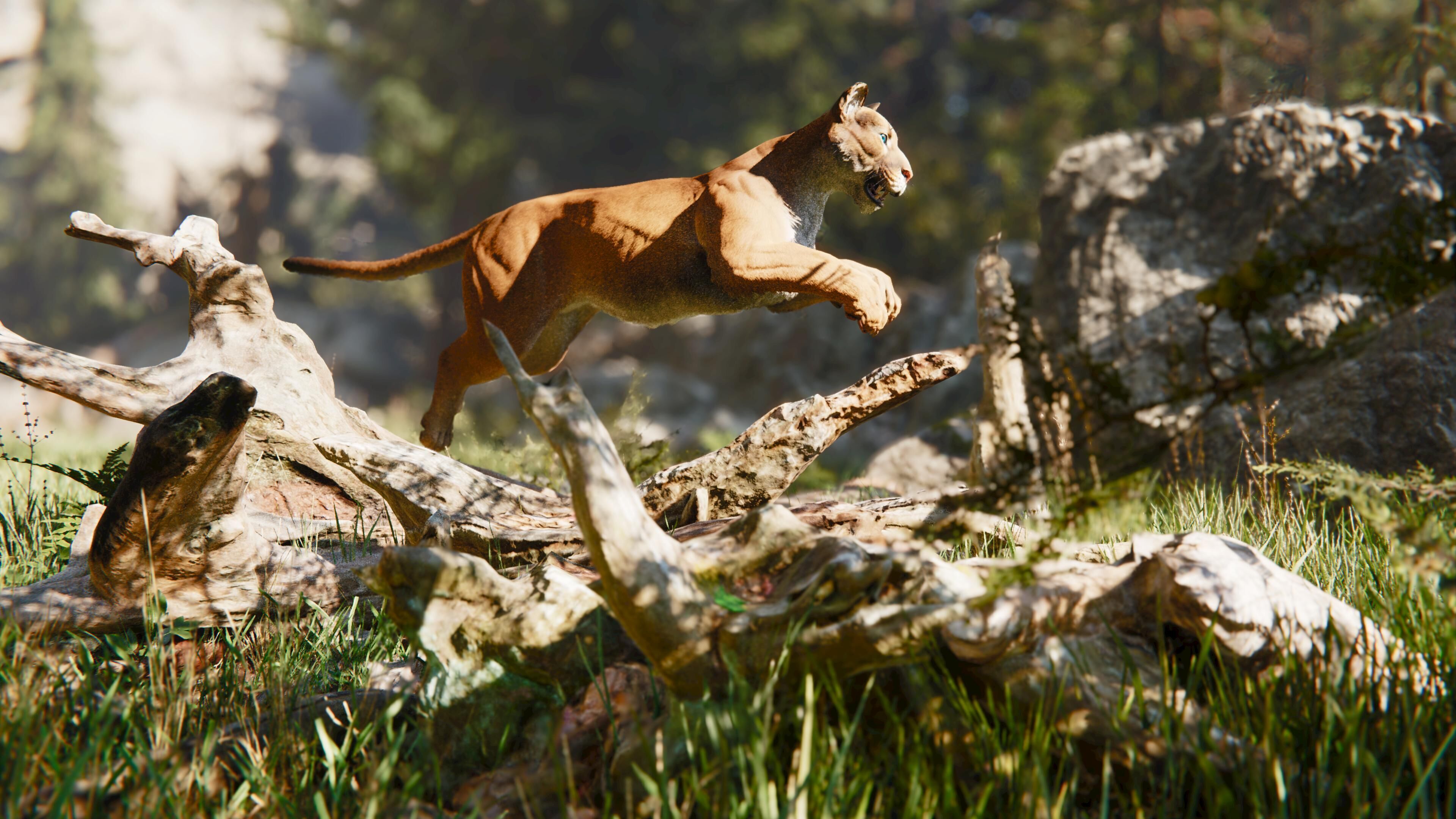 Cougar  - Panther - Jaguar - Leopard - Mountain Lion Low-poly 3D model_17