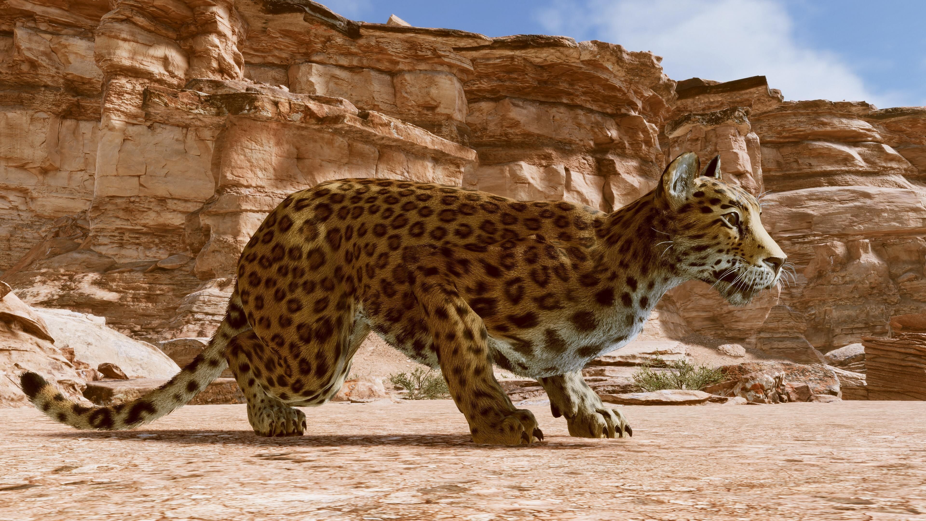 Cougar  - Panther - Jaguar - Leopard - Mountain Lion Low-poly 3D model_22