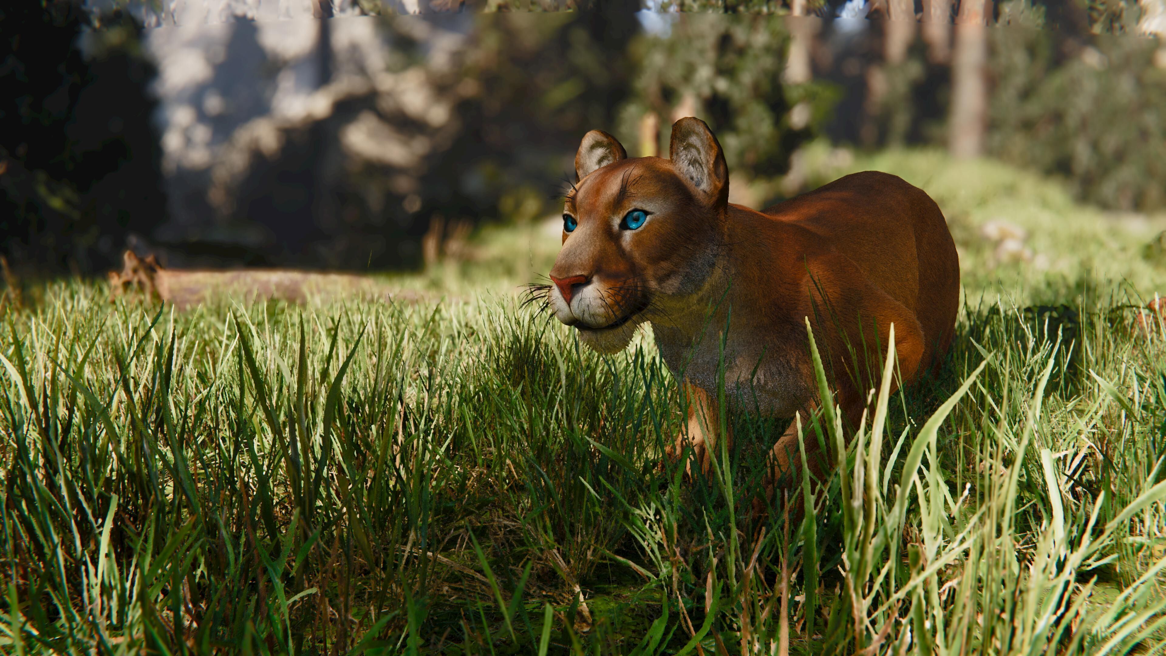 Cougar  - Panther - Jaguar - Leopard - Mountain Lion Low-poly 3D model_15