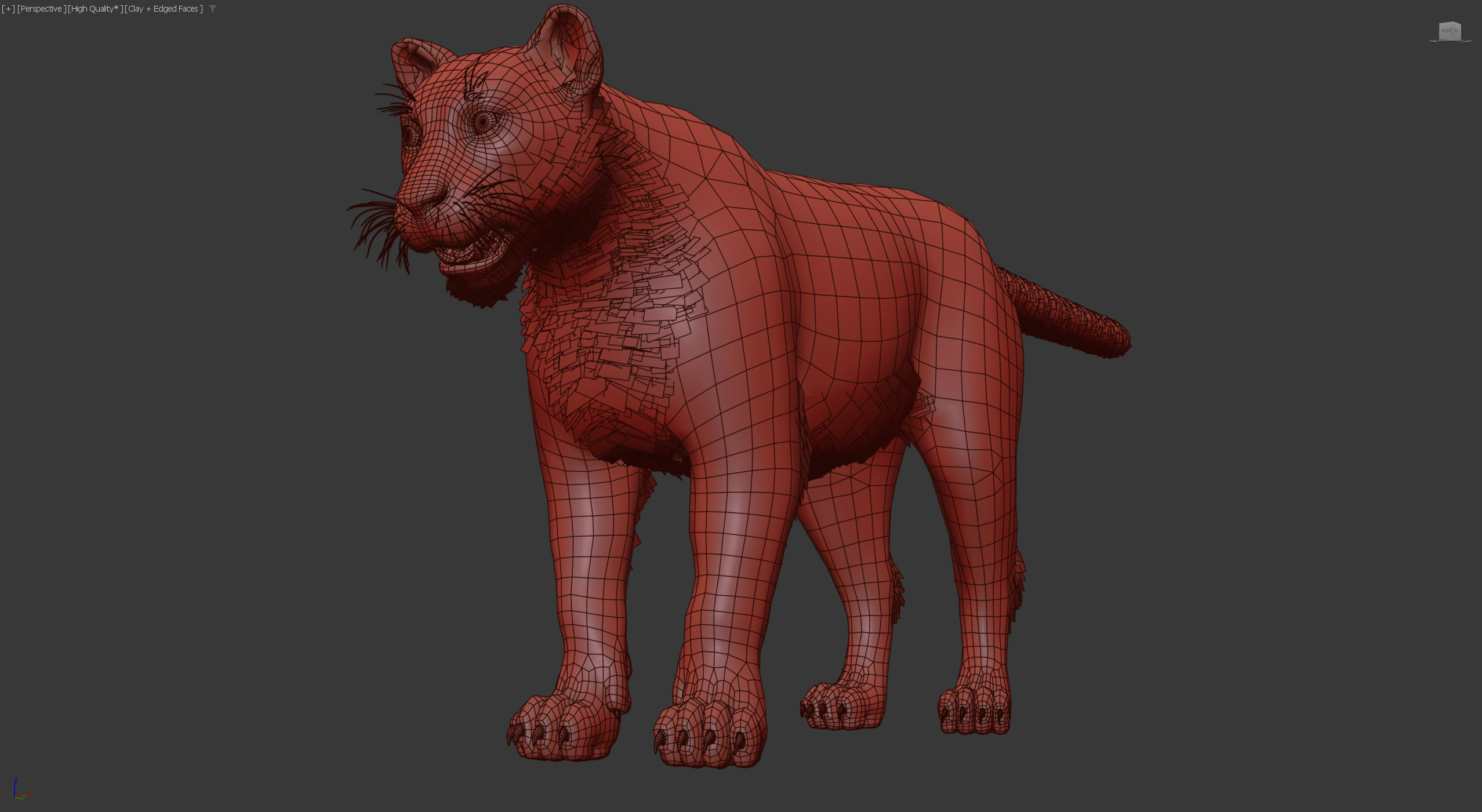 Cougar  - Panther - Jaguar - Leopard - Mountain Lion Low-poly 3D model_7