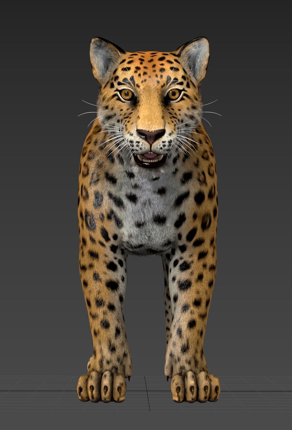Cougar  - Panther - Jaguar - Leopard - Mountain Lion Low-poly 3D model_42