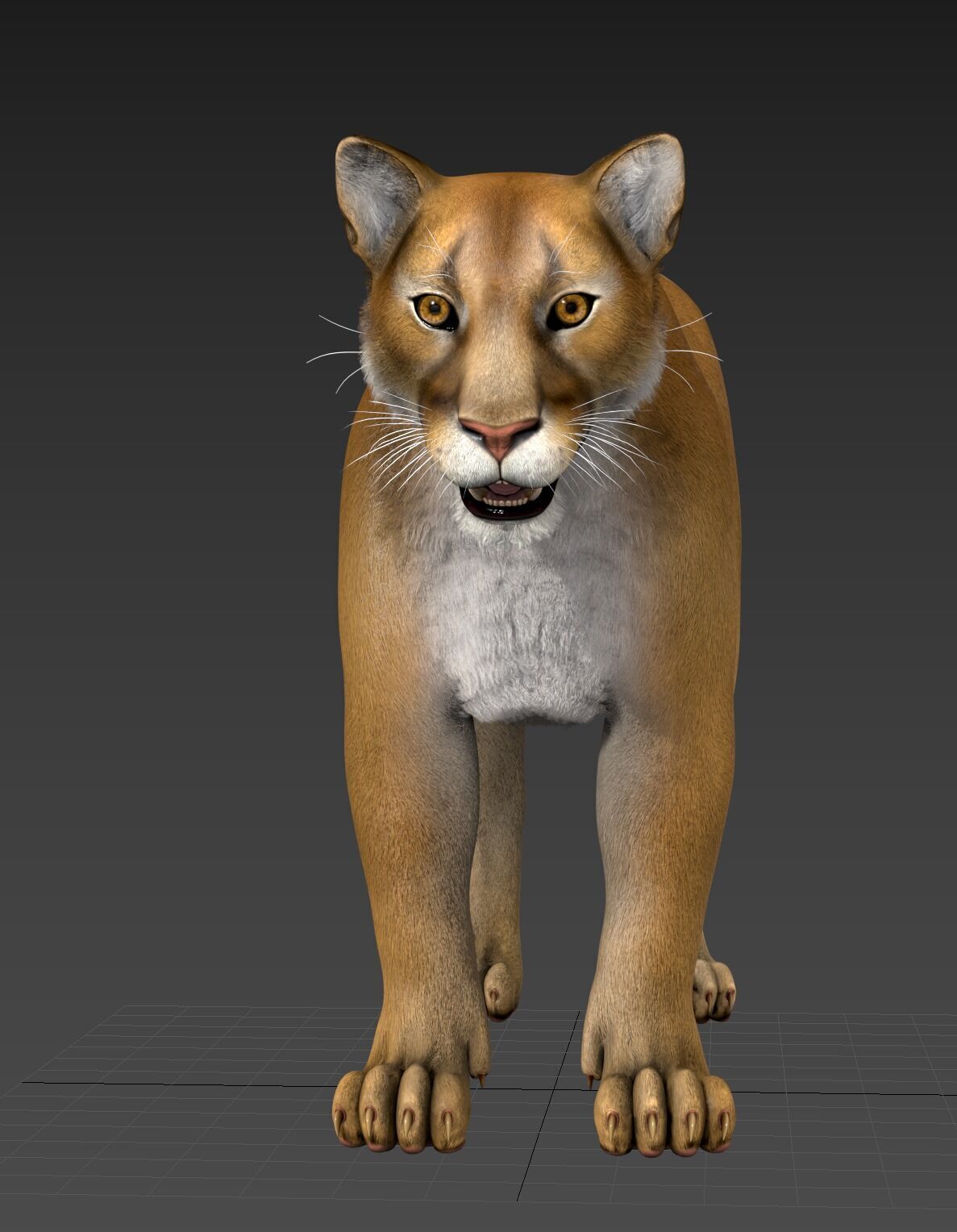 Cougar  - Panther - Jaguar - Leopard - Mountain Lion Low-poly 3D model_43