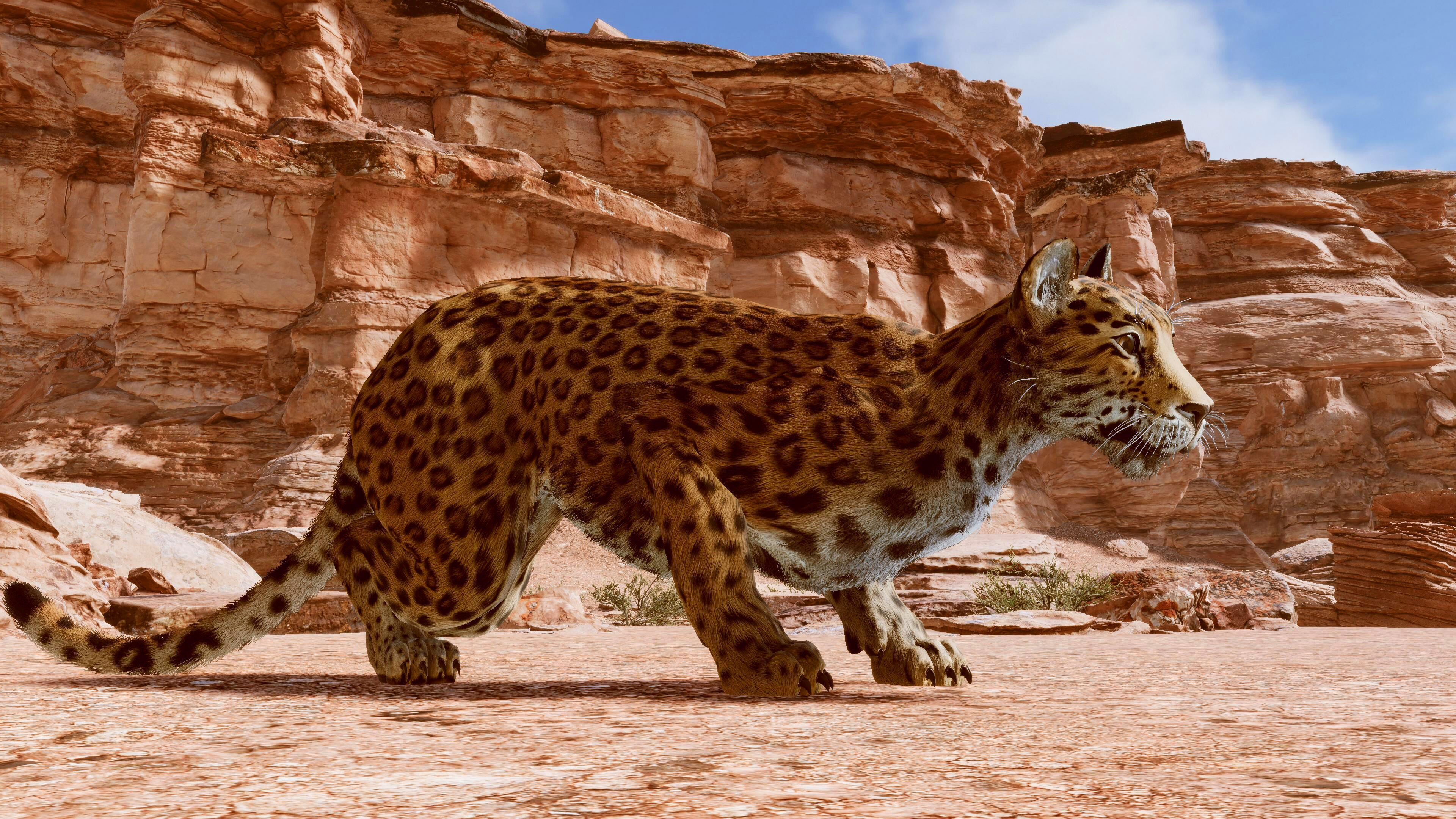 Cougar  - Panther - Jaguar - Leopard - Mountain Lion Low-poly 3D model_45