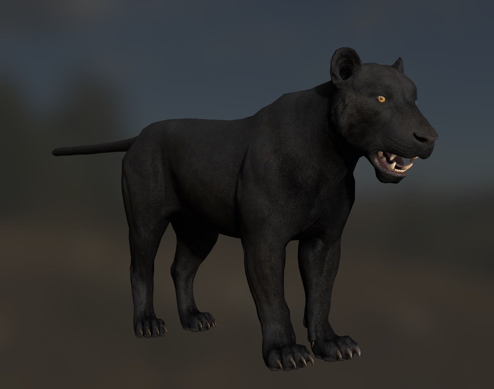Cougar  - Panther - Jaguar - Leopard - Mountain Lion Low-poly 3D model_34