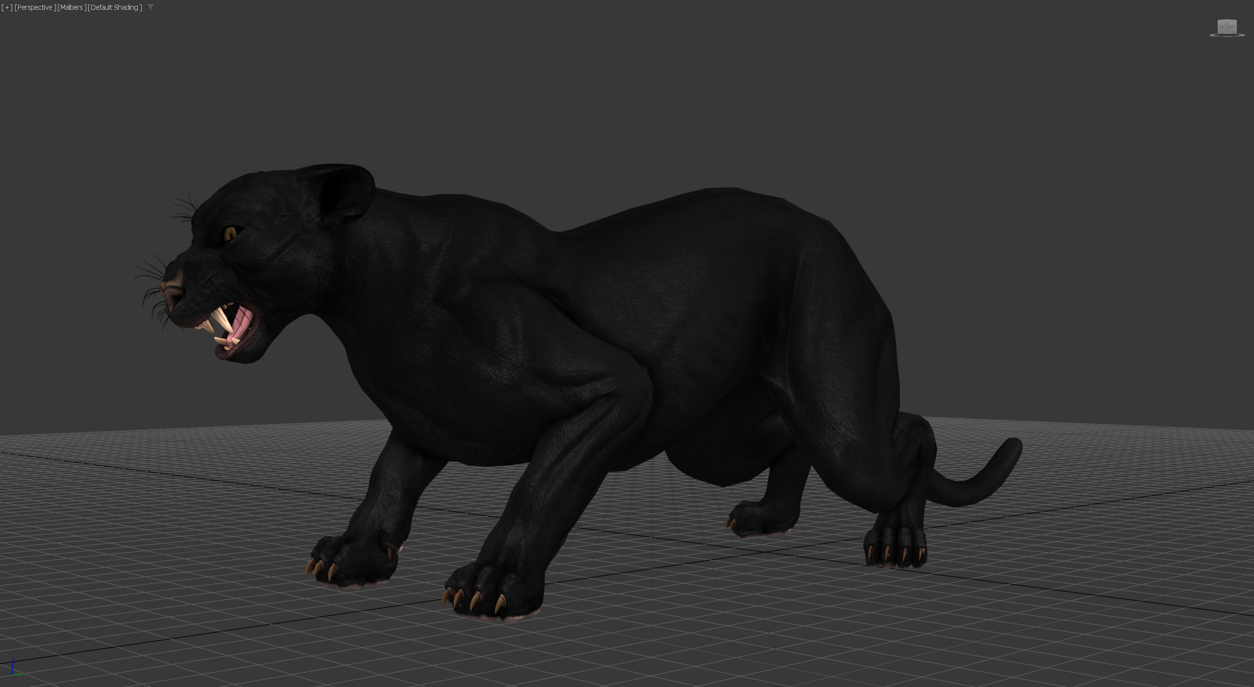 Cougar  - Panther - Jaguar - Leopard - Mountain Lion Low-poly 3D model_4