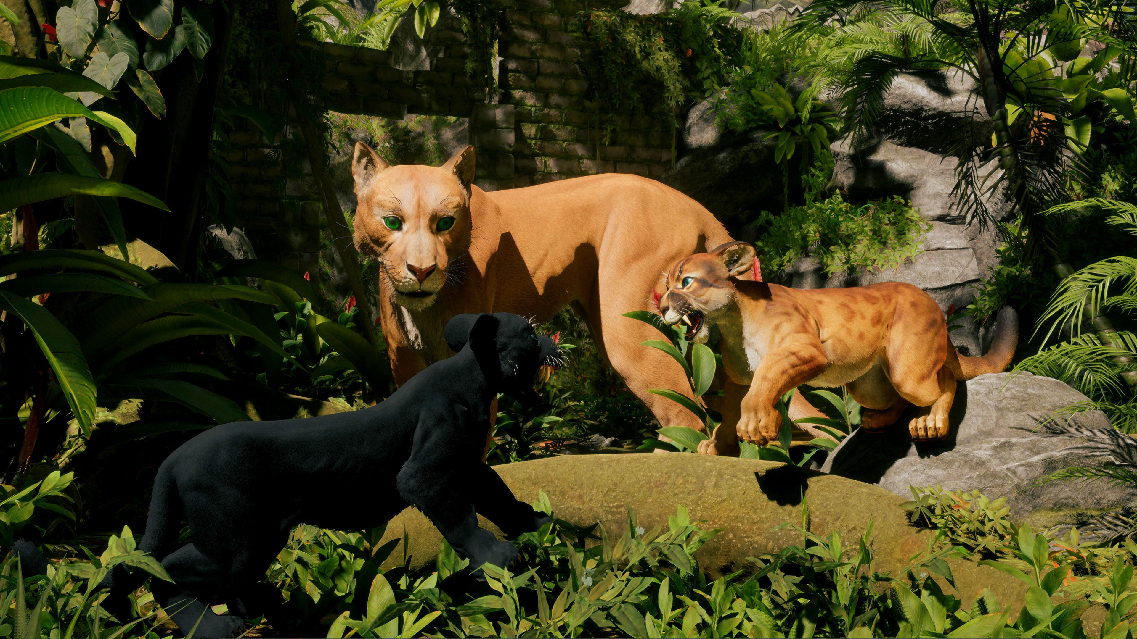 Cougar  - Panther - Jaguar - Leopard - Mountain Lion Low-poly 3D model_28