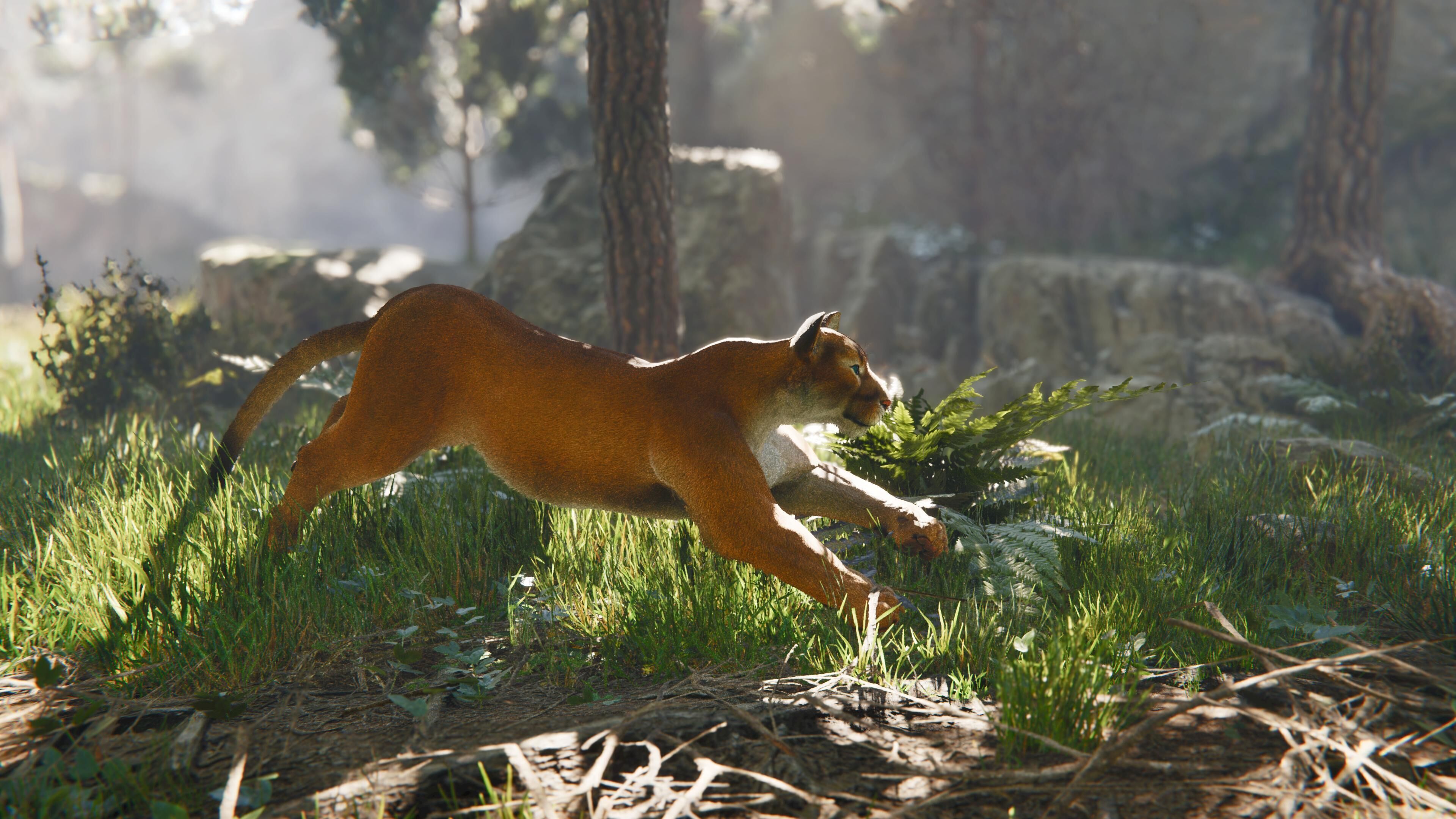 Cougar  - Panther - Jaguar - Leopard - Mountain Lion Low-poly 3D model_13