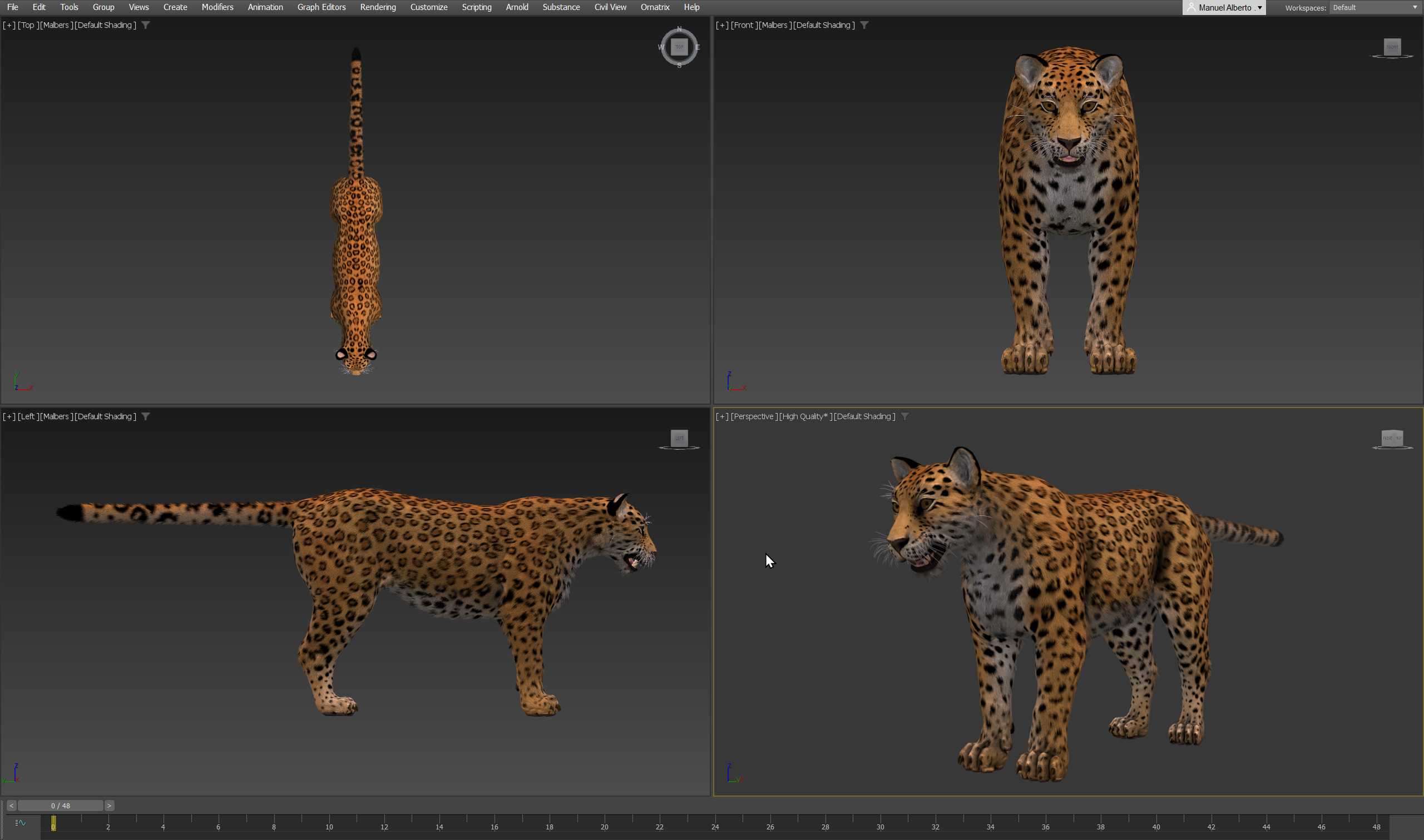 Cougar  - Panther - Jaguar - Leopard - Mountain Lion Low-poly 3D model_5