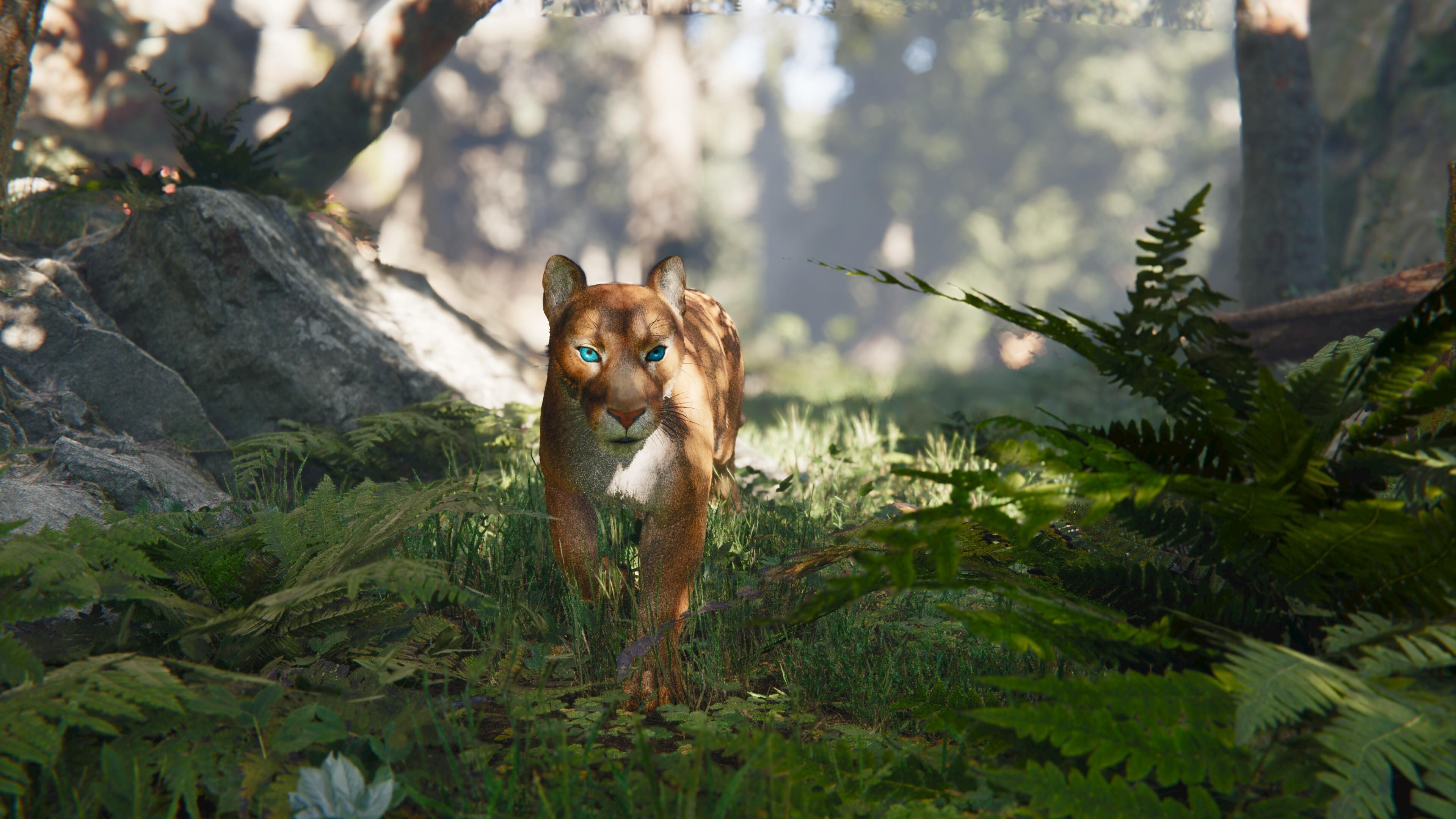 Cougar  - Panther - Jaguar - Leopard - Mountain Lion Low-poly 3D model_8