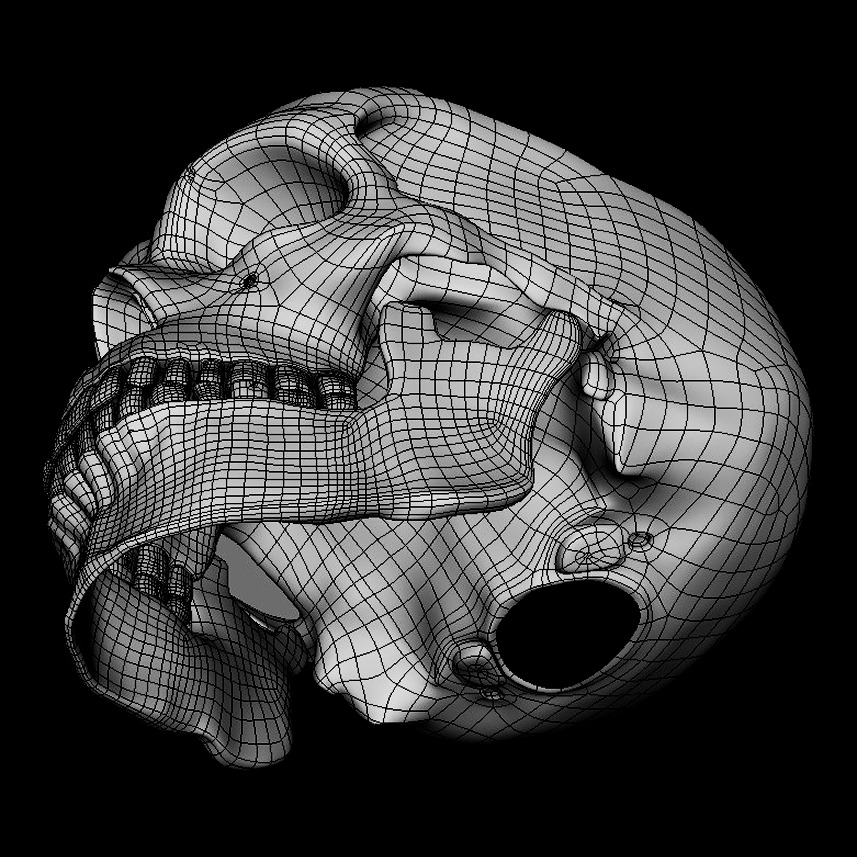 Realistic Human Skull 3D Model 3D model_4