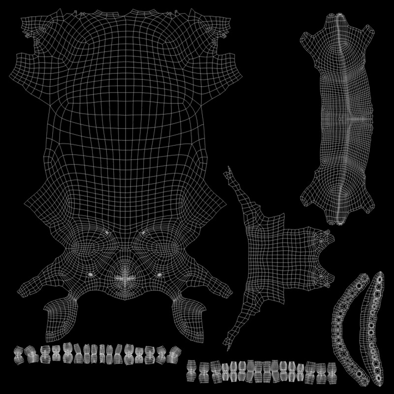 Realistic Human Skull 3D Model 3D model_5