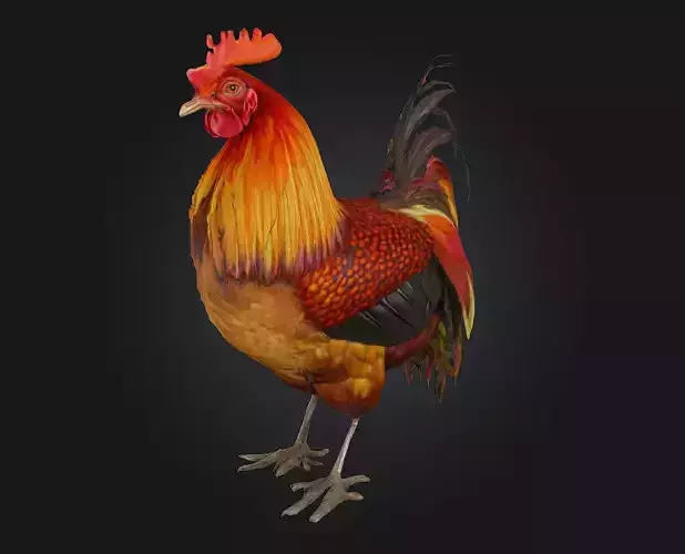 Rooster Majesty  The Regal Feathered King
