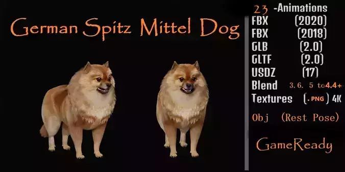 German Spitz Mittel Dog