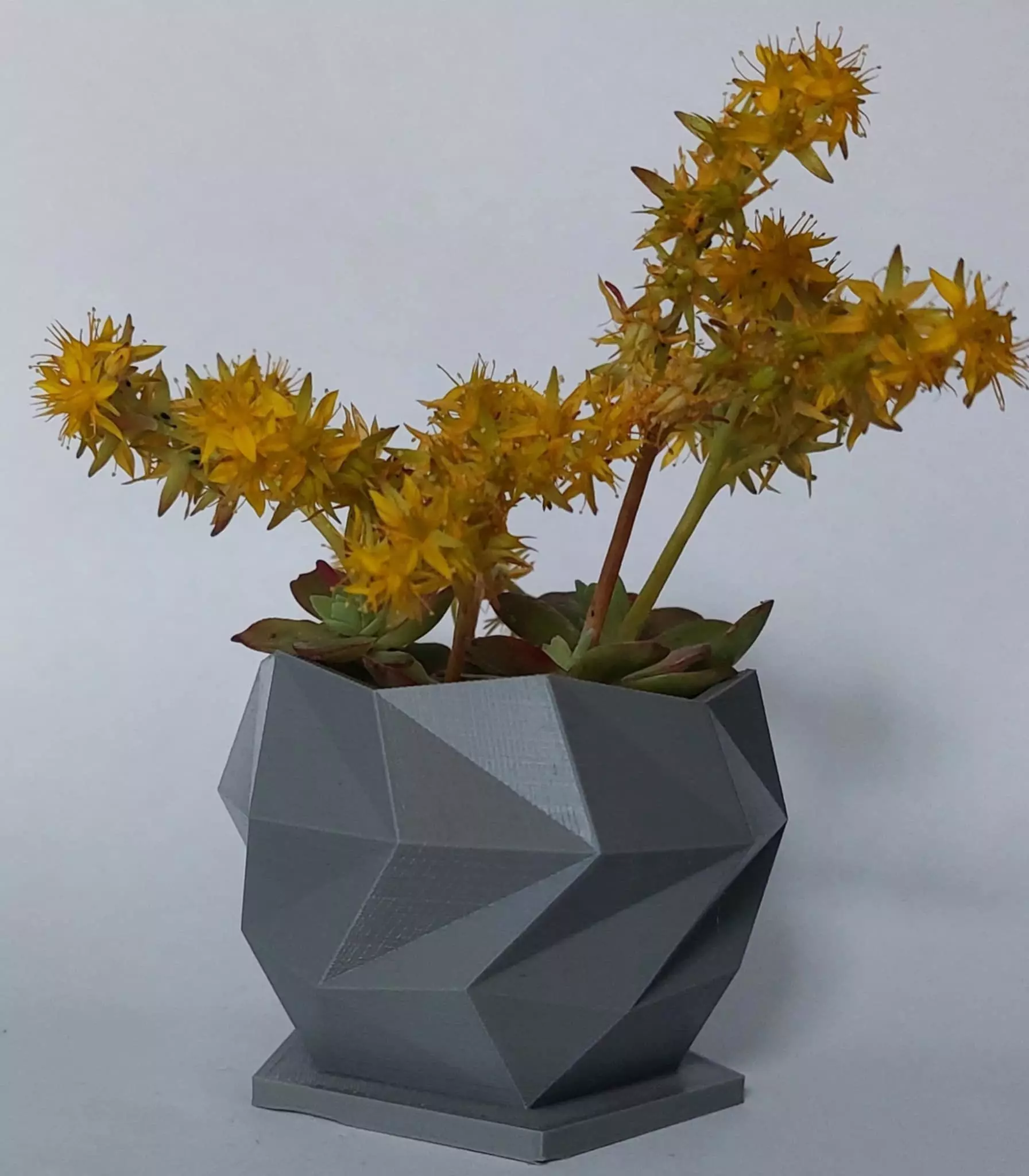GeoBloom Planter Free 3D print model