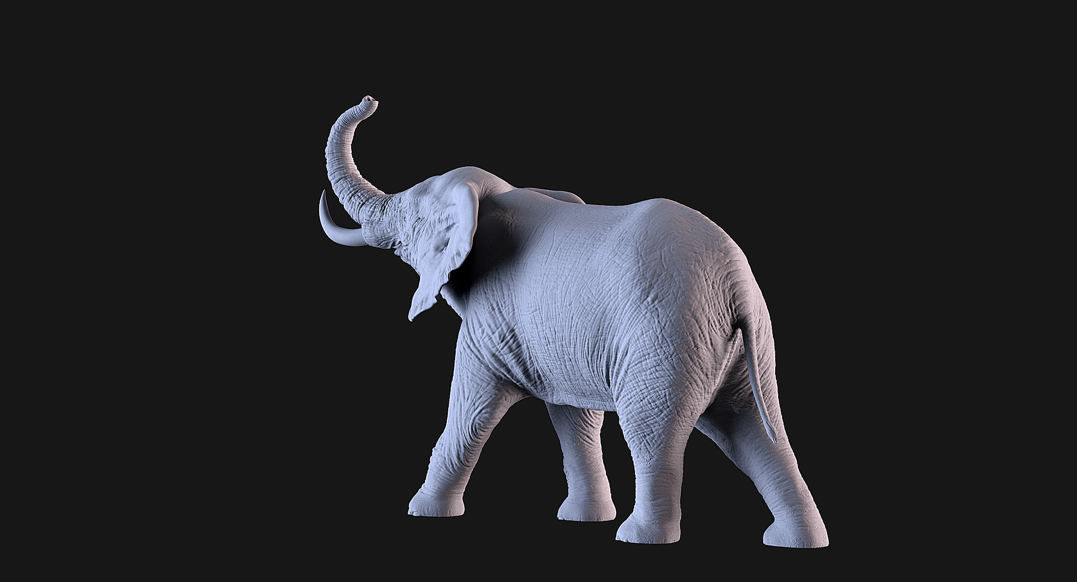 Elephant 3D print model_8