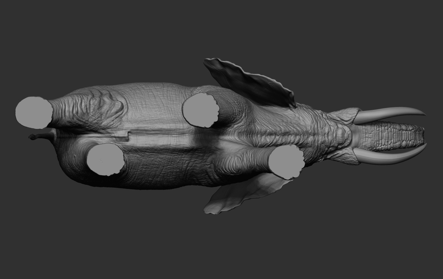 Elephant 3D print model_14