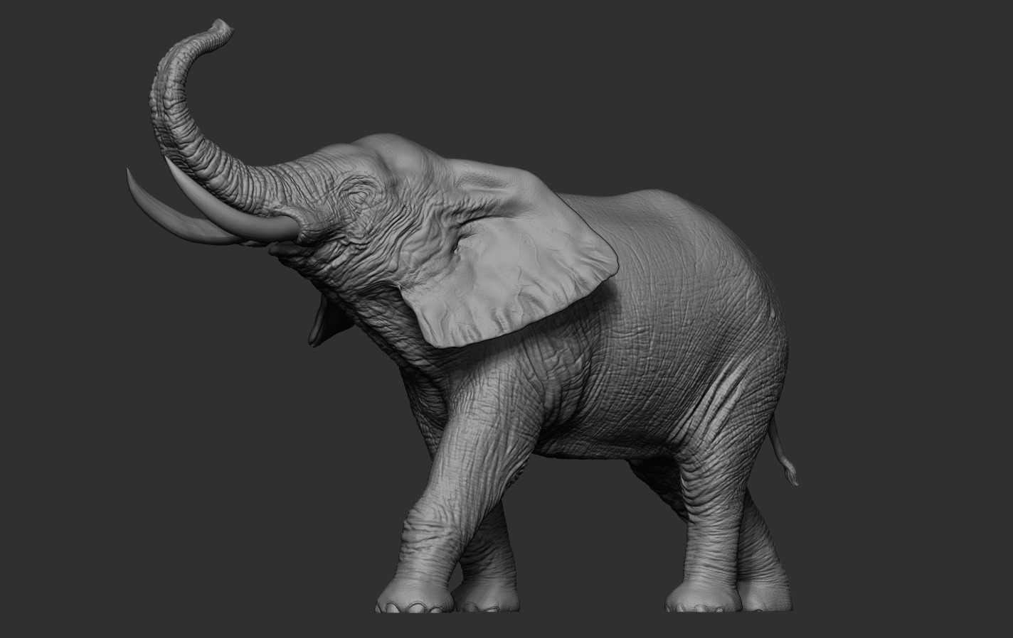 Elephant 3D print model_10