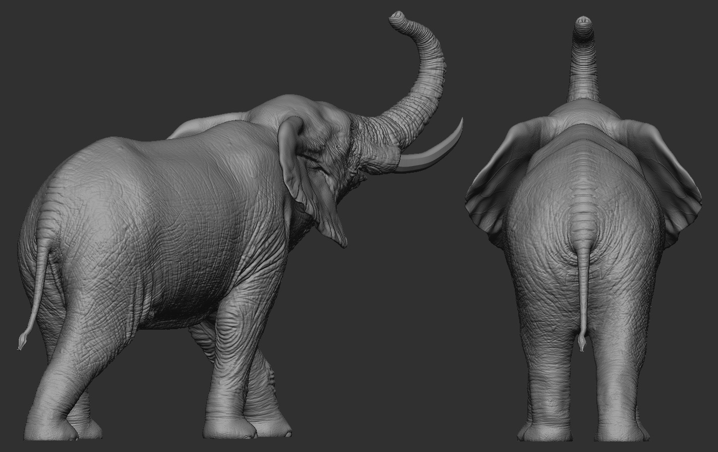 Elephant 3D print model_15