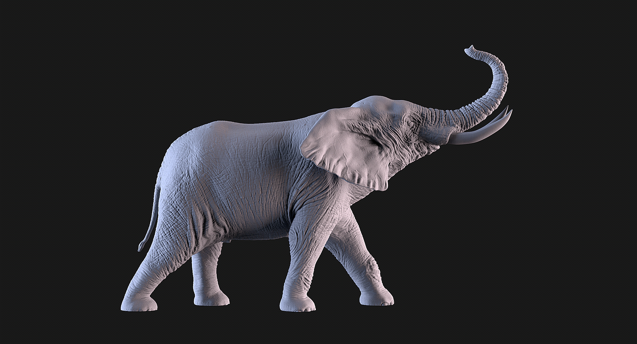Elephant 3D print model_5
