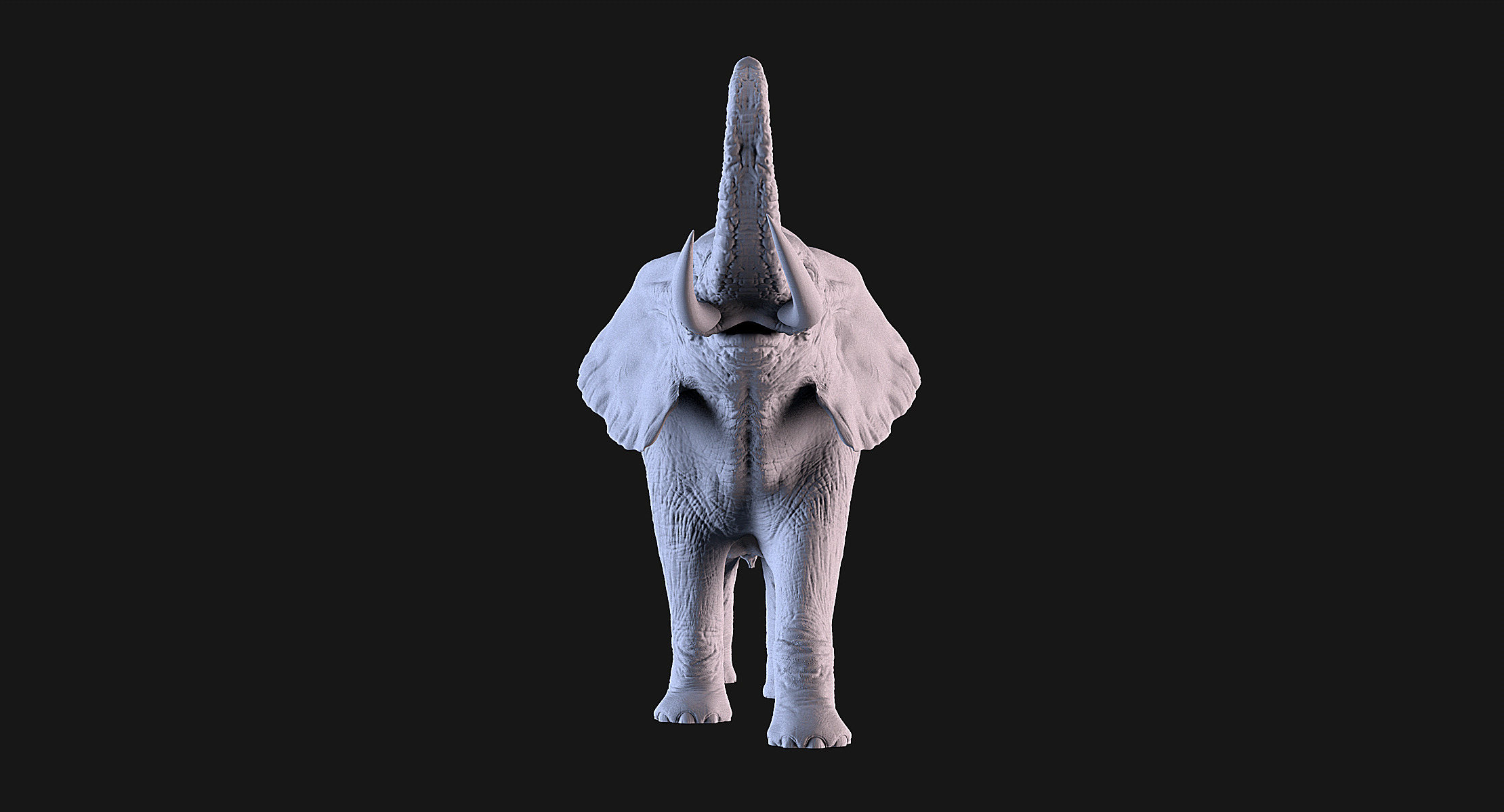 Elephant 3D print model_3