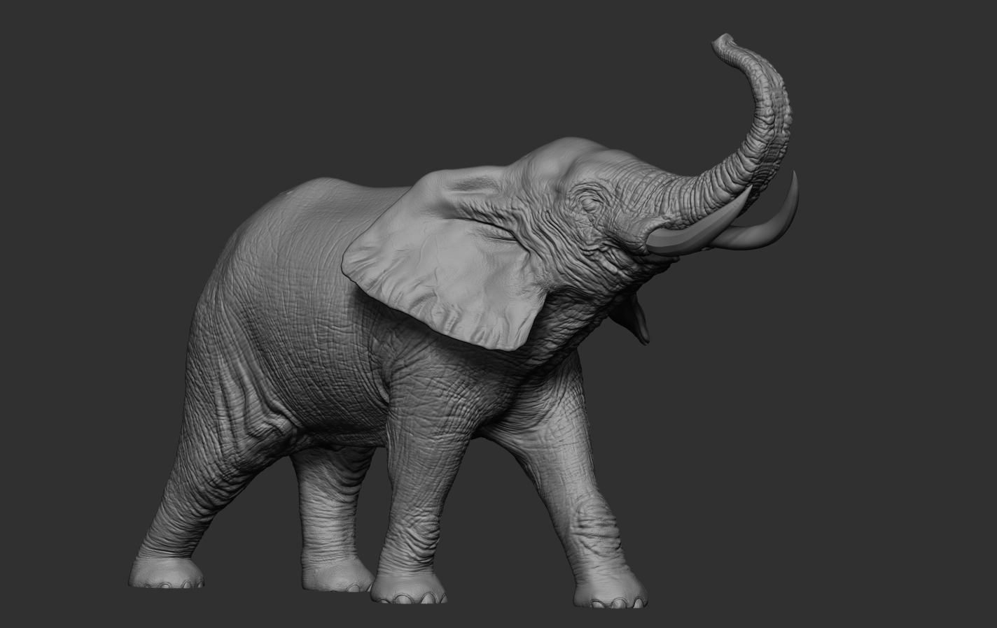 Elephant 3D print model_11