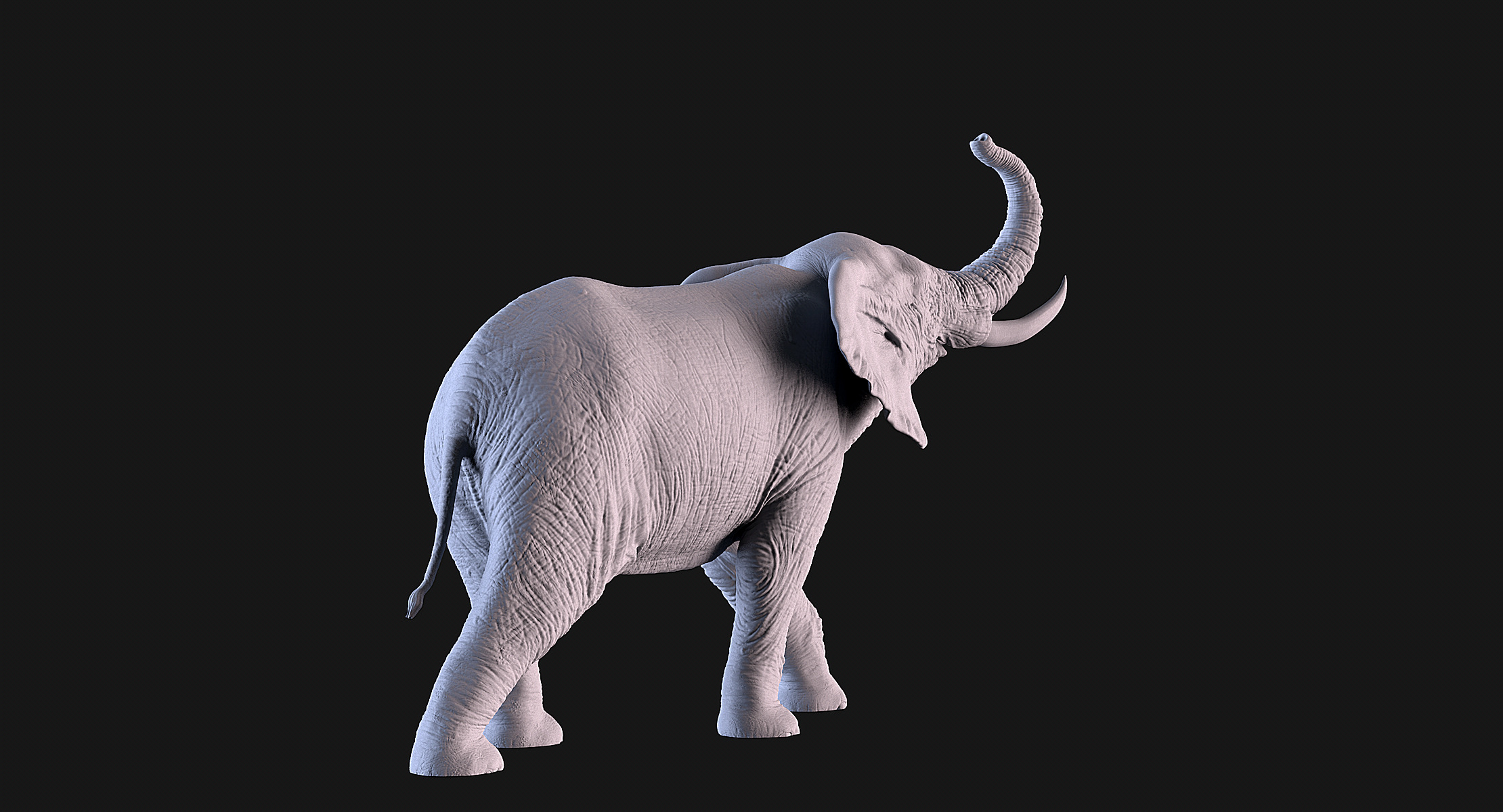 Elephant 3D print model_6