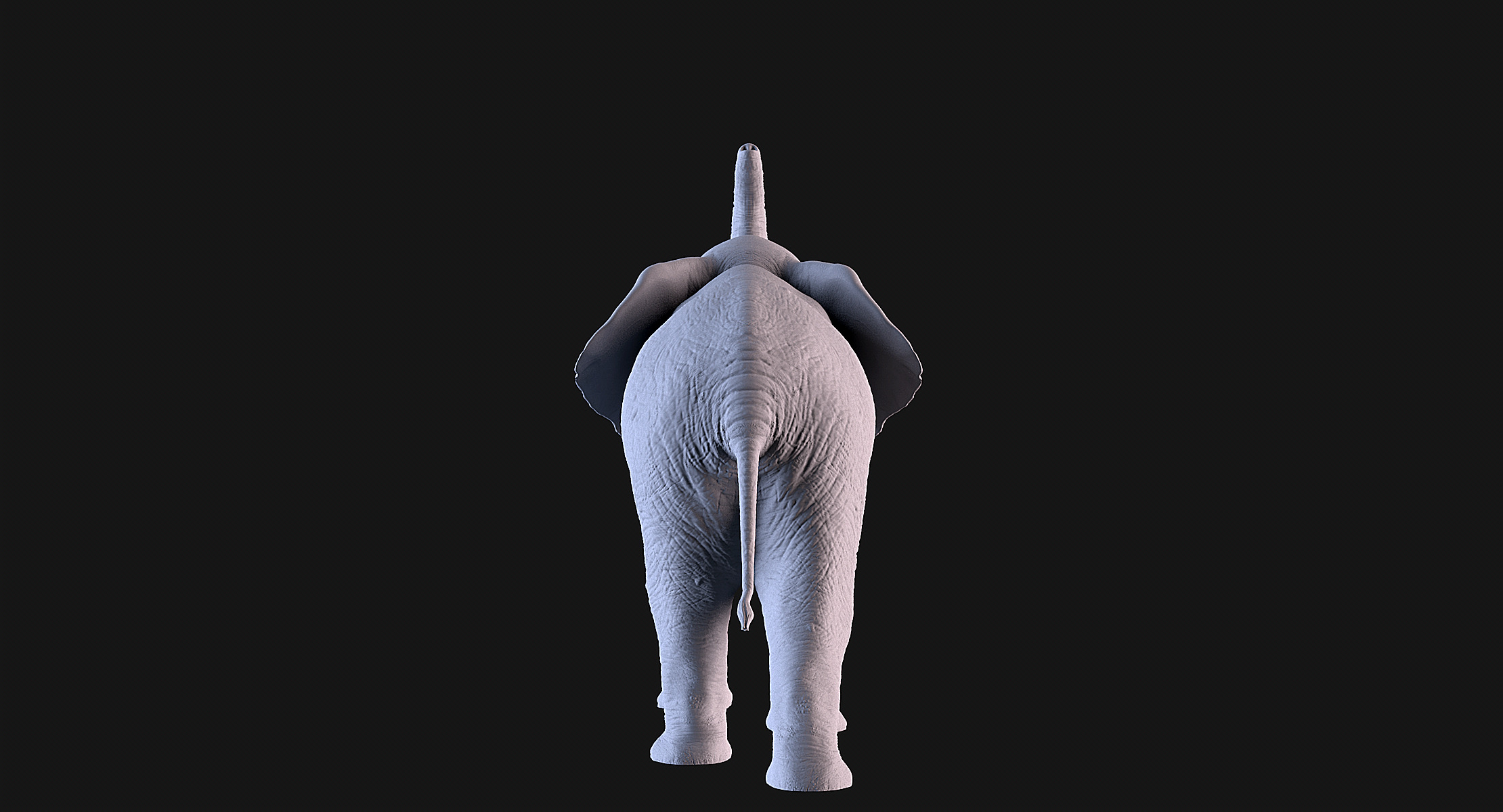 Elephant 3D print model_7