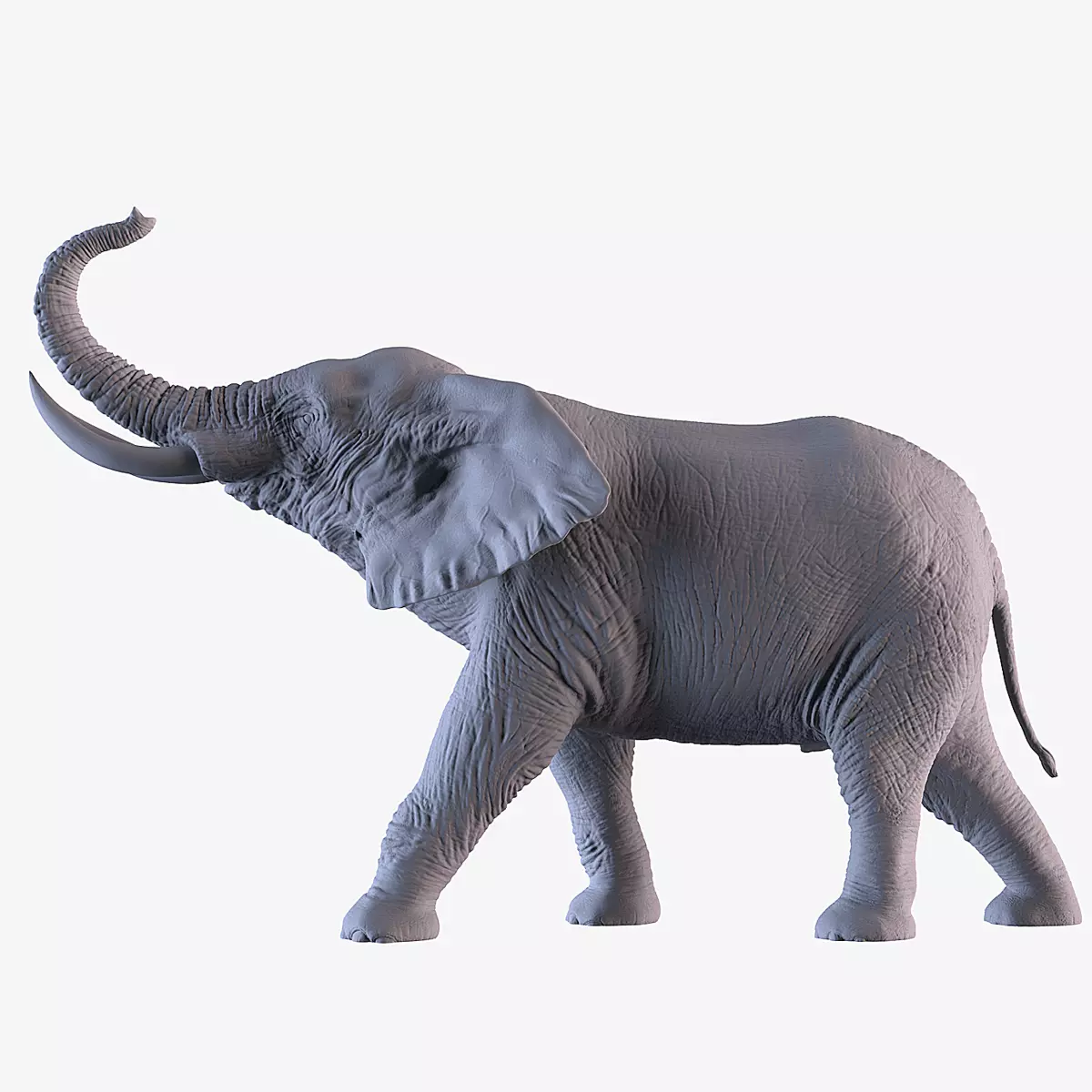 Elephant 3D print model_0