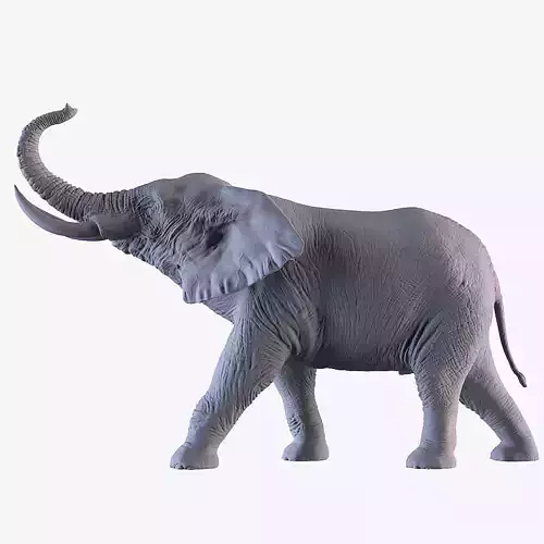 Elephant 3D print model