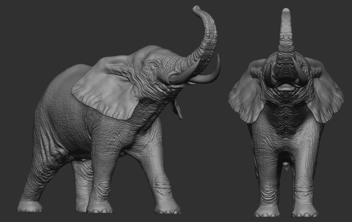 Elephant 3D print model_16