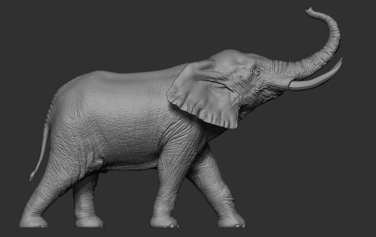Elephant 3D print model_12