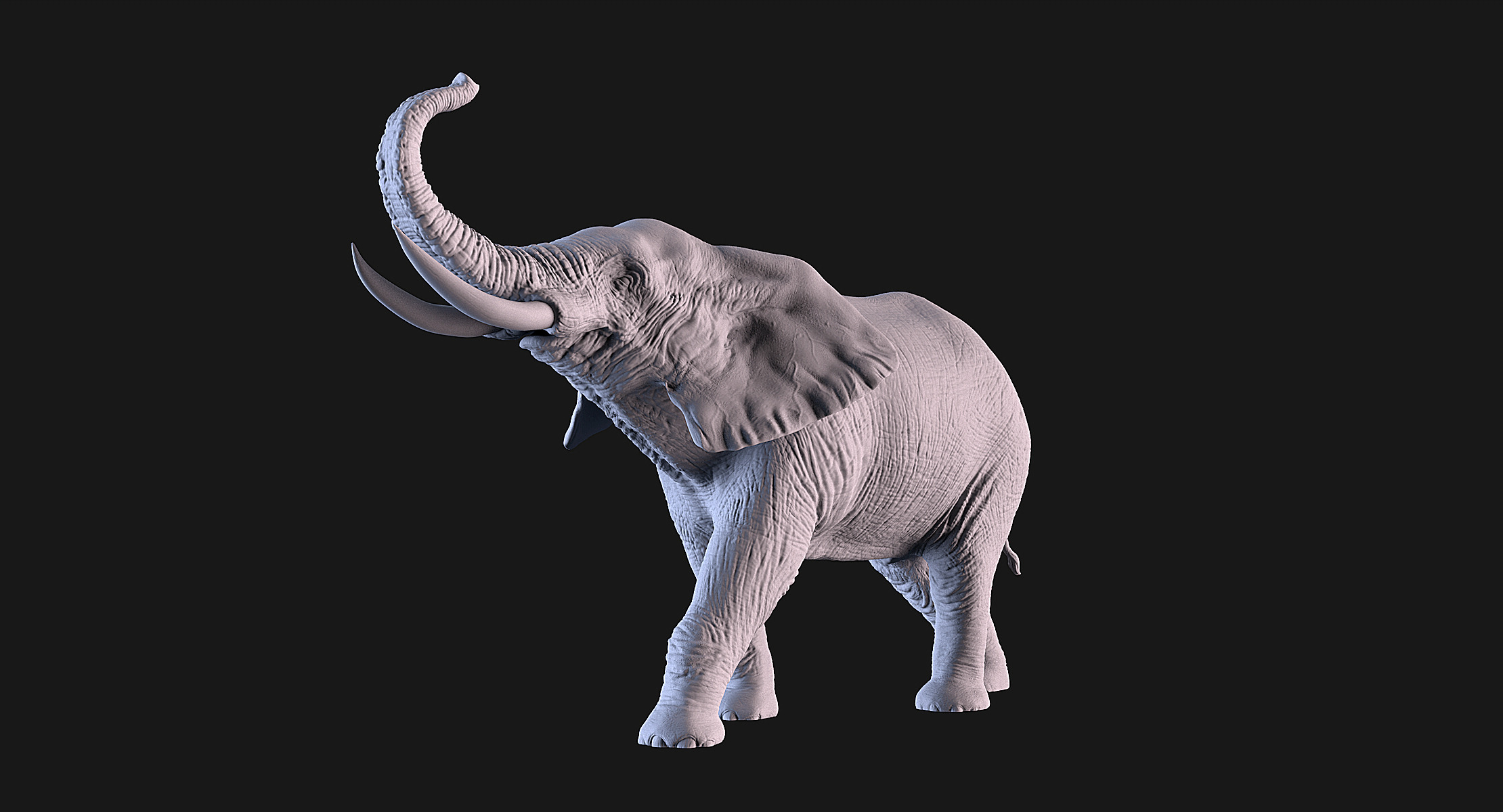 Elephant 3D print model_2