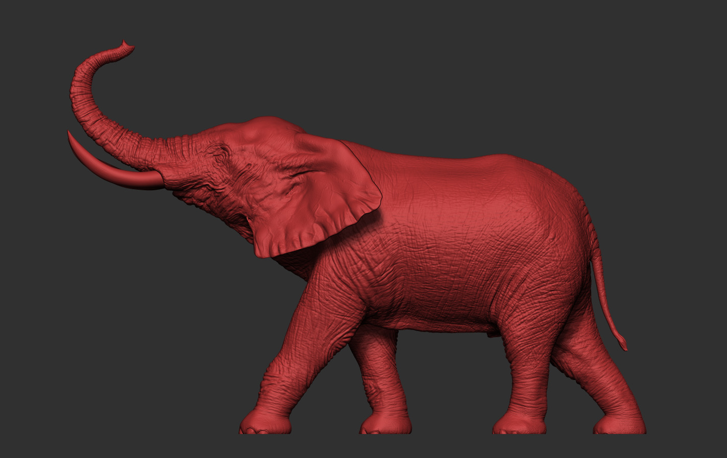 Elephant 3D print model_17