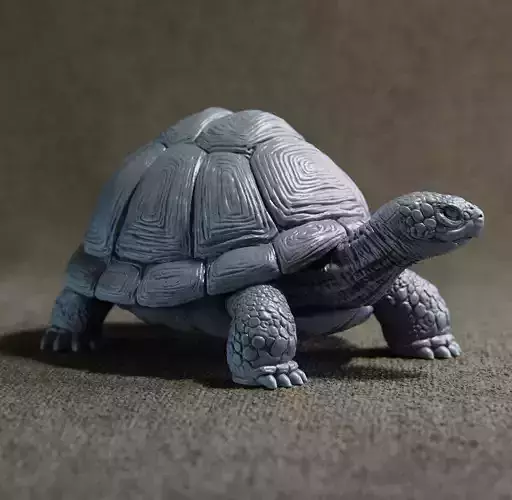 Turtle