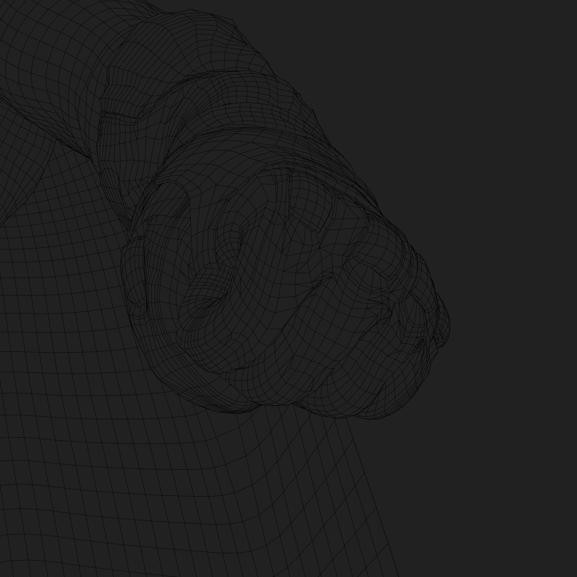 Batman 3D Model Zack Snyder Fully Rigged Cape Blender FBX OBJ Low-poly 3D model_16